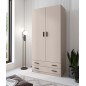 Armario modelo Rapid 2 Puertas 2 Cajones Beig