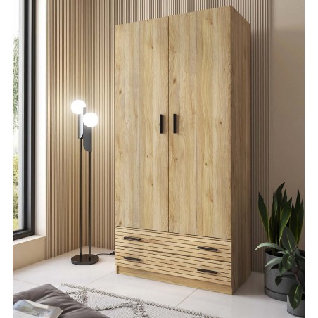 Armario modelo Rapid 2 Puertas 2 Cajones en color mauvella rallas