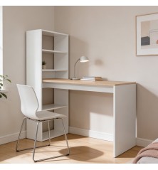 ESCRITORIO CON ESTANTERIA MOD.VILLENA