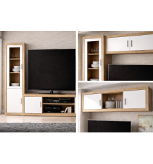 Composicion  salon Lara 01