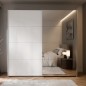 Armario puertas correderas W26 DE 220 cm Blanco mate y puerta con espejo Armario puertas correderas W26 DE 220 cm Blanco mate y puerta con espejo