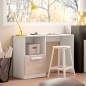 Escritorio 1pta+hueco Estelle 100x42cm Blanco mate /sahara