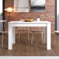 MESA COMEDOR EXTENSIBLE MOD. NORA C/ BLANCO 120/160*80 CM MESA COMEDOR EXTENSIBLE MOD. NORA C/ BLANCO 120/160*80 CM