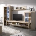 COMPOSICION MODELO GLEIN CON LUCES LEDS muebles de salón 255,00 € 210,74 €