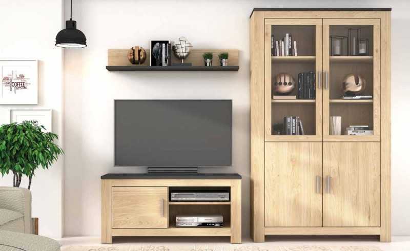 COMPOSICION MODELO RONCAL 02 JACKSON GRAFITO muebles de salón 363,00 € 300,00 € COMPOSICION MODELO RONCAL 02 JACKSON GRAFITO muebles de salón 363,00 € 300,00 €
